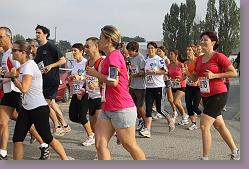 Carignan 01 134 * 679 x 453 * (139KB)